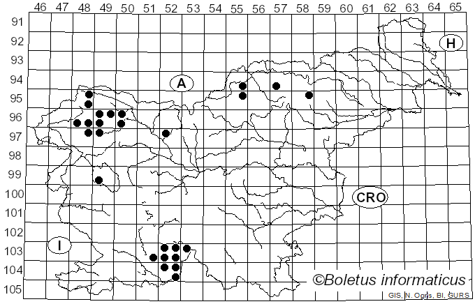 <i>Micarea</i> Fr. (1825)