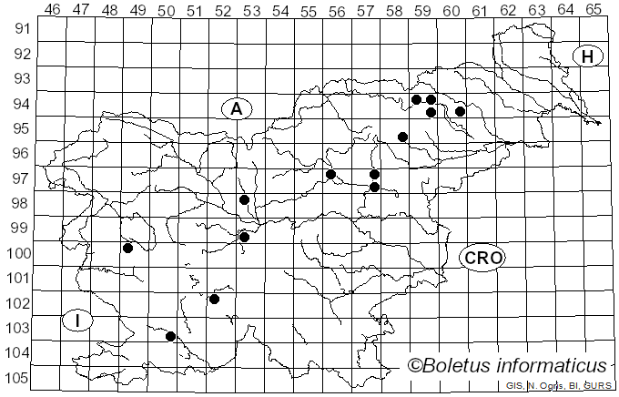 <i>Oligoporus fragilis</i> (Fr.) Gilb. & Ryvarden (1985)