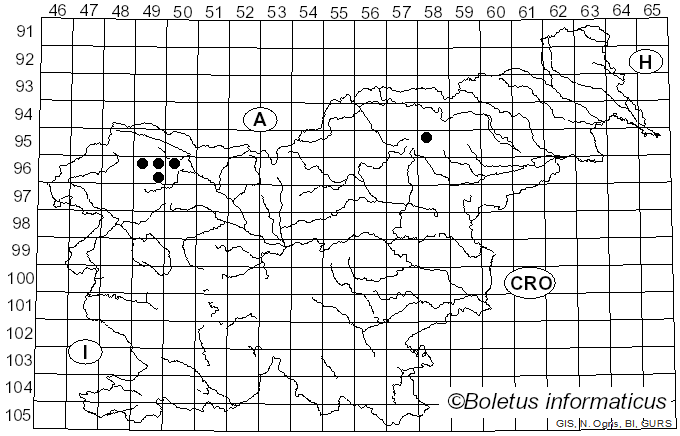 <i>Cheilymenia</i> Boud. (1885)