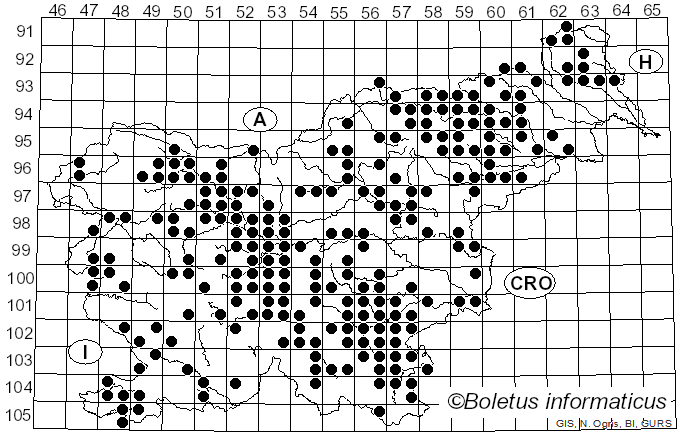 <i>Russula foetens</i> (Pers.) Fr. (1796)