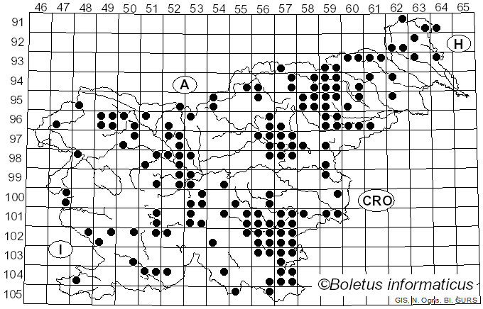 <i>Pseudosperma rimosum</i> (Bull.) Matheny & Esteve-Rav. (2019)