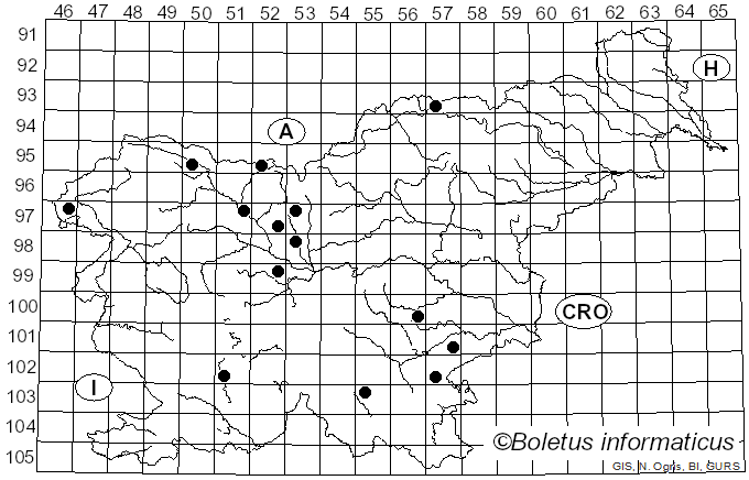 <i>Botrytis</i> P. Micheli ex Pers. (1794)