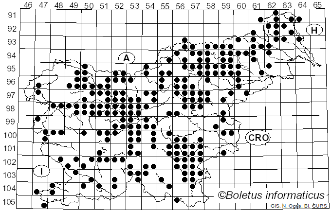 <i>Imleria badia</i> (Fr.) Vizzini (2014)