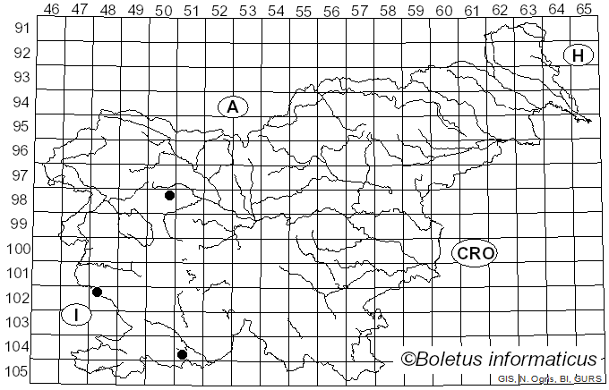 <i>Hypsizygus ulmarius</i> (Bull.) Redhead (1984)