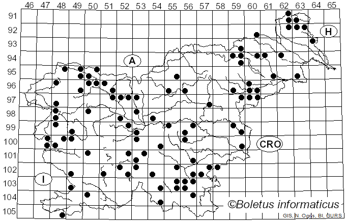 <i>Diatrype</i> Fr. (1849)
