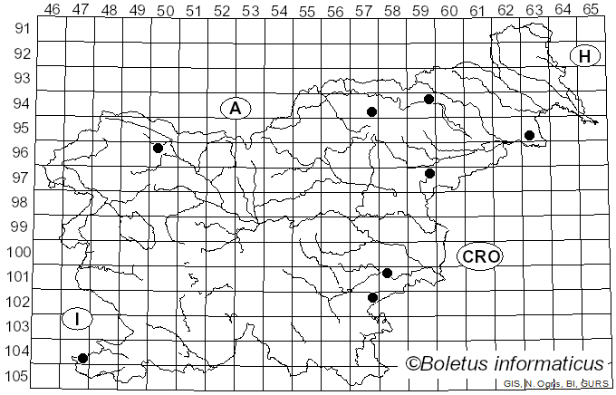 <i>Mycenella bryophila</i> (Voglino) Singer (1951)
