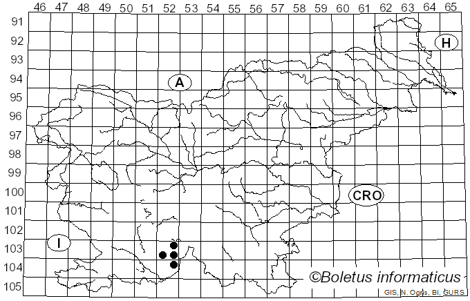 <i>Bacidia circumspecta</i> (Norrl. & Nyl.) Malme (1895)