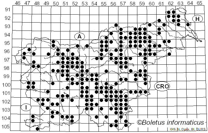 <i>Amanita pantherina</i> (DC.) Krombh.