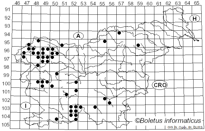 <i>Collema</i> Weber ex F.H. Wigg. (1780)