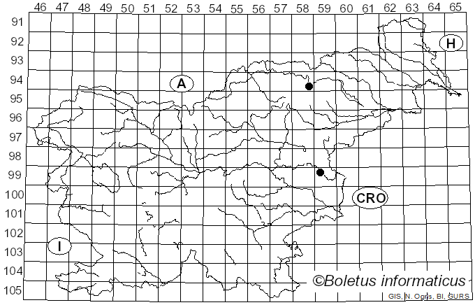 <i>Hebeloma cavipes</i> Huijsman (1961)