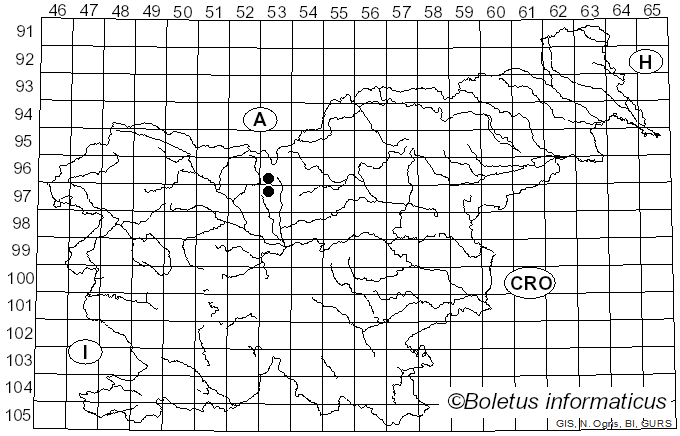 <i>Sphaerella dryadis</i> Auersw. (1869)