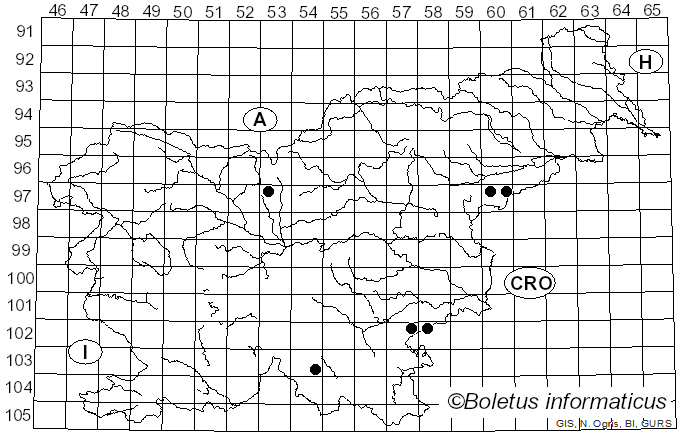 <i>Bispora antennata</i> (Pers.) E.W. Mason (1953)