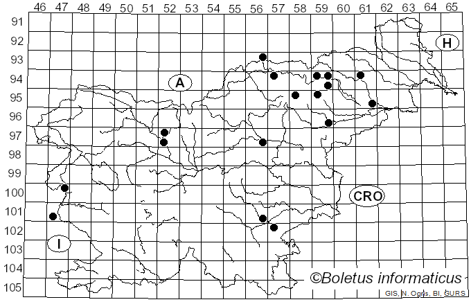 <i>Russula intermedia</i> P. Karst. (1888)