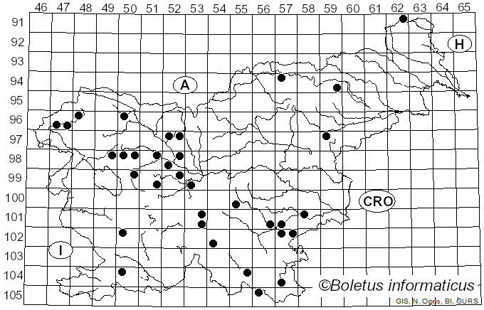 <i>Guepiniopsis buccina</i> (Pers.) L.L. Kenn. (1958)