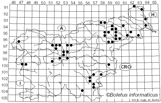 <i>Hortiboletus rubellus</i> (Krombh.) Simonini, Vizzini & Gelardi (2015)
