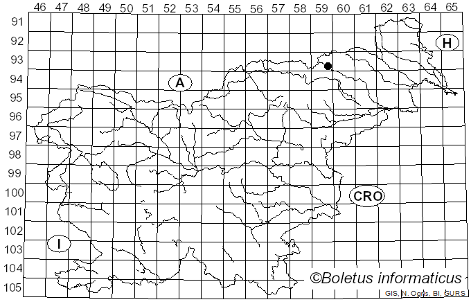 <i>Omphalina grossula</i> (Pers.) Singer (1961)