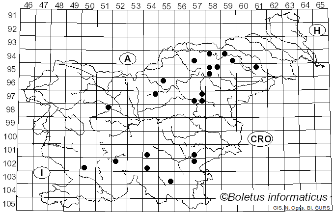 <i>Russula cremeoavellanea</i> Singer (1936)