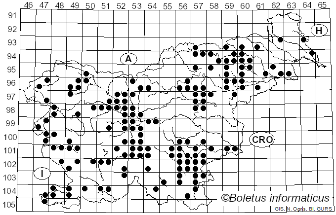 <i>Agrocybe</i> Fayod (1889)