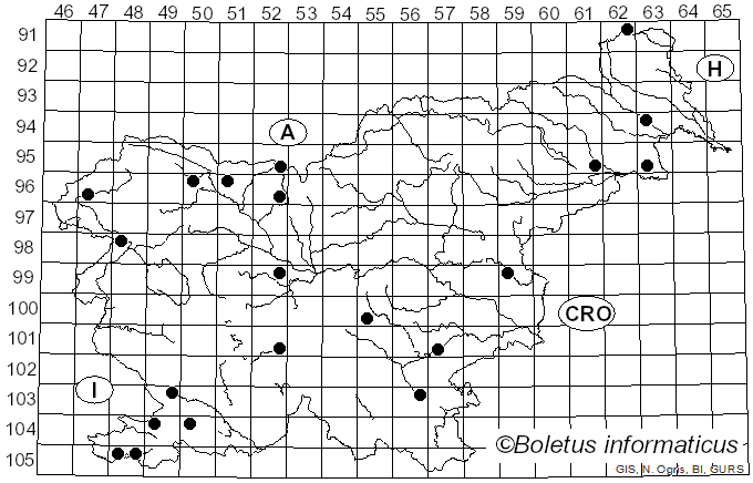 <i>Resupinatus</i> Nees ex Gray (1821)