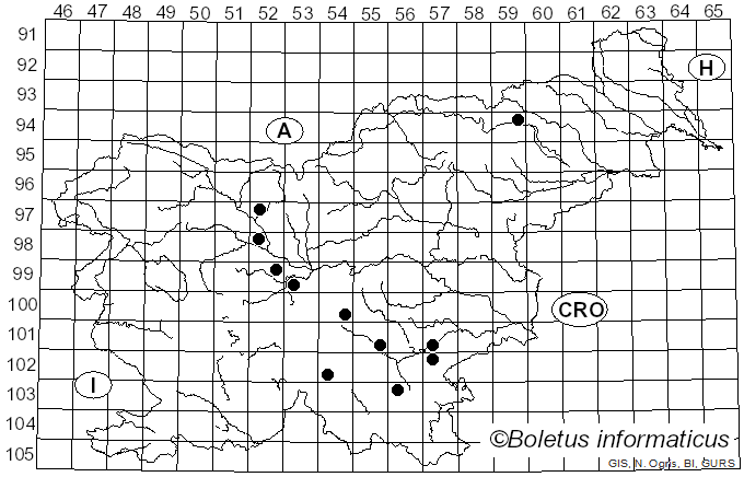 <i>Cystodermella ambrosii</i> (Bres.) Harmaja (2002)
