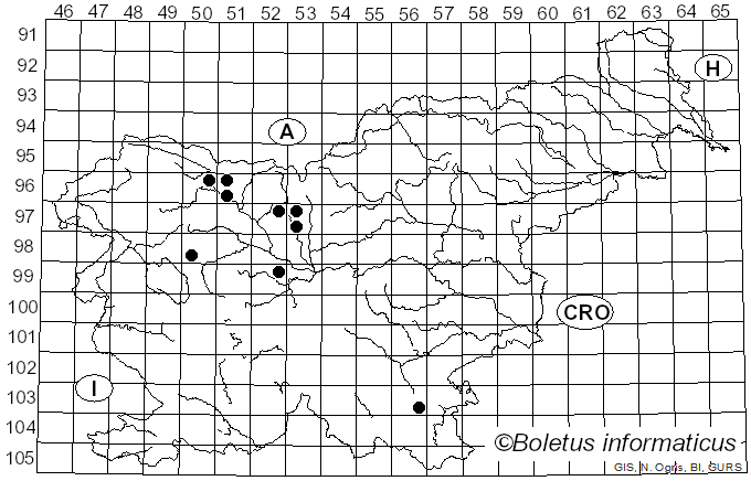 <i>Polystigma</i> DC. (1815)