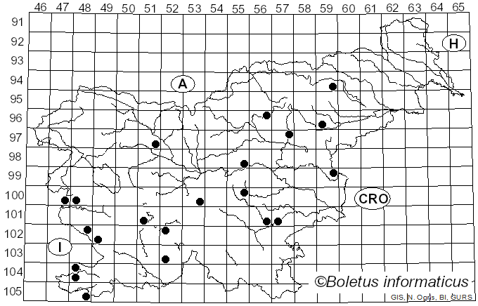 <i>Calonarius xanthophyllus</i> (Cooke) Niskanen & Liimat. (2022)