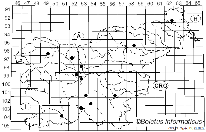 <i>Hypholoma marginatum</i> (Pers.) J. Schröt. (1889)