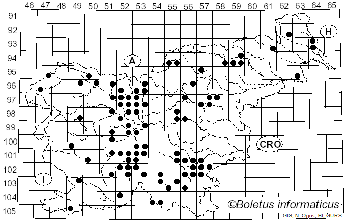 <i>Calocybe gambosa</i> (Fr.) Donk (1962)