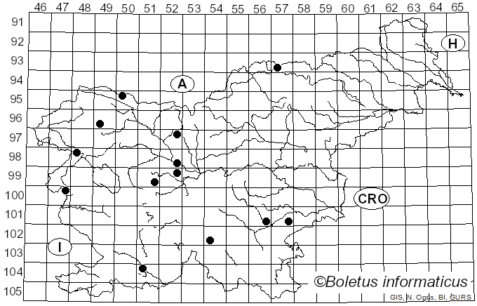 <i>Suillus bresadolae</i> (Quél.) Gerhold (1985)