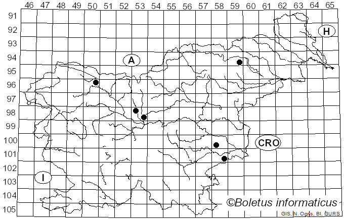 <i>Septoria cornicola</i> Desm. (1867)