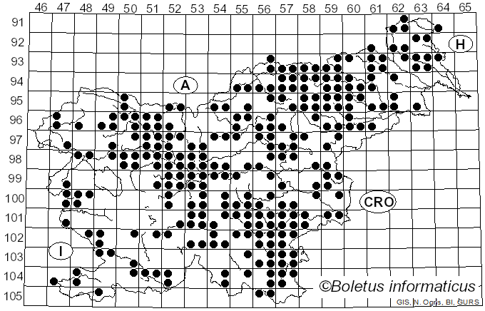 <i>Russula vesca</i> Fr. (1836)