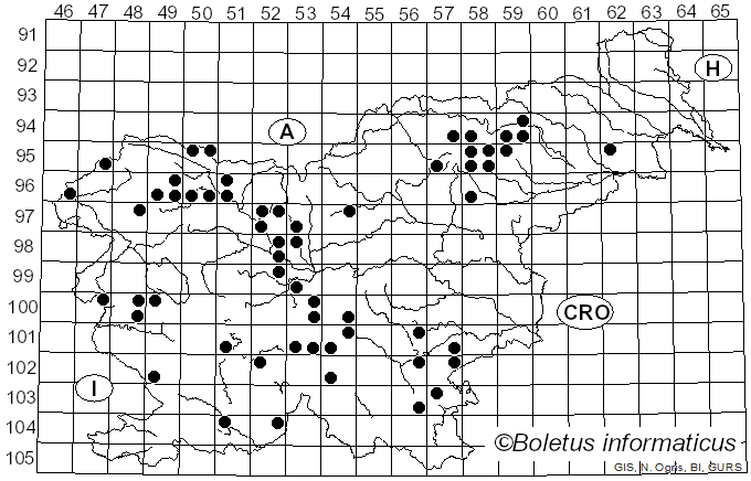 <i>Climacocystis borealis</i> (Fr.) Kotl. & Pouzar (1958)