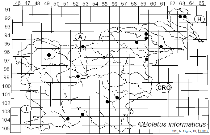 <i>Mycena silvae-nigrae</i> Maas Geest. & Schwöbel (1987)