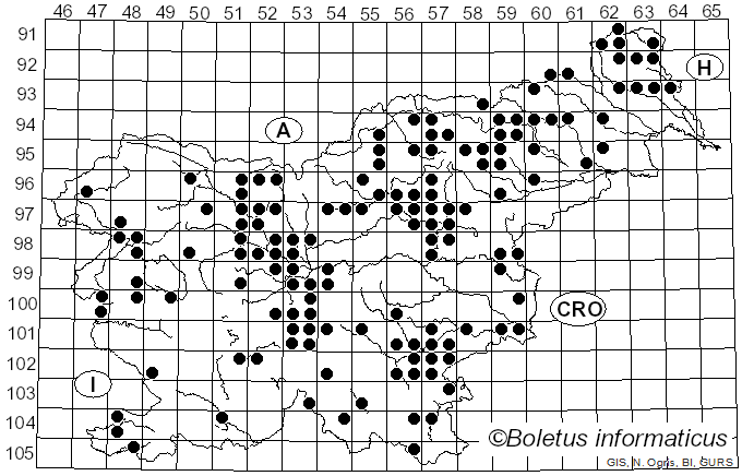 <i>Cortinarius bolaris</i> (Pers.) Fr. (1838)