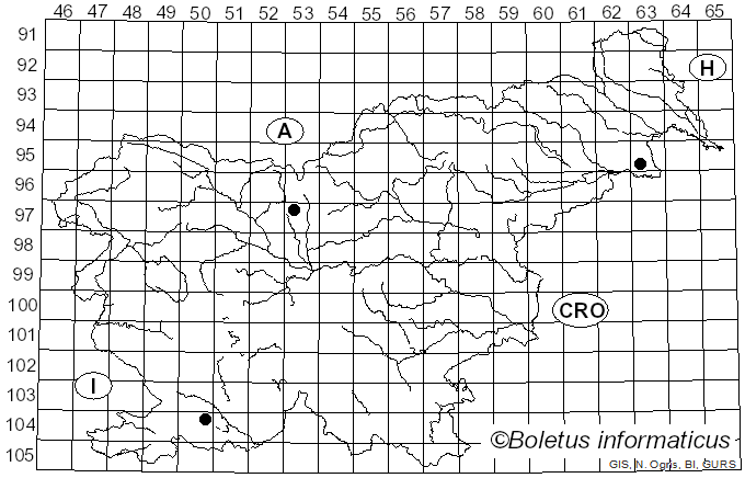 <i>Puccinia urticata</i> (Link) F. Kern (1917)