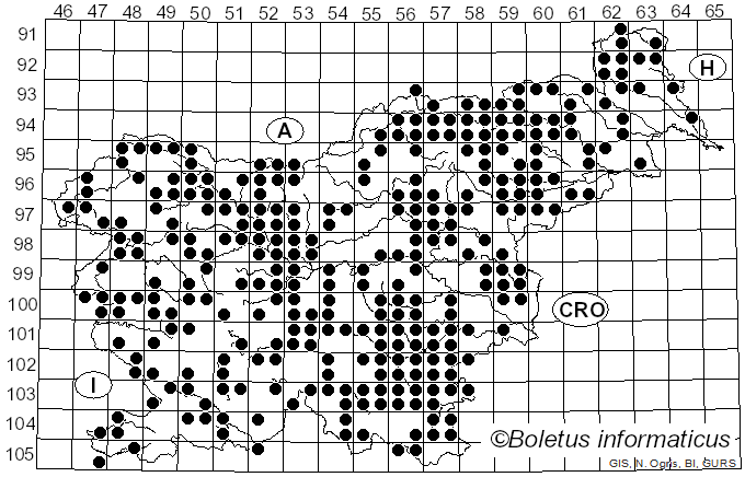 <i>Marasmius</i> Fr. (1836)