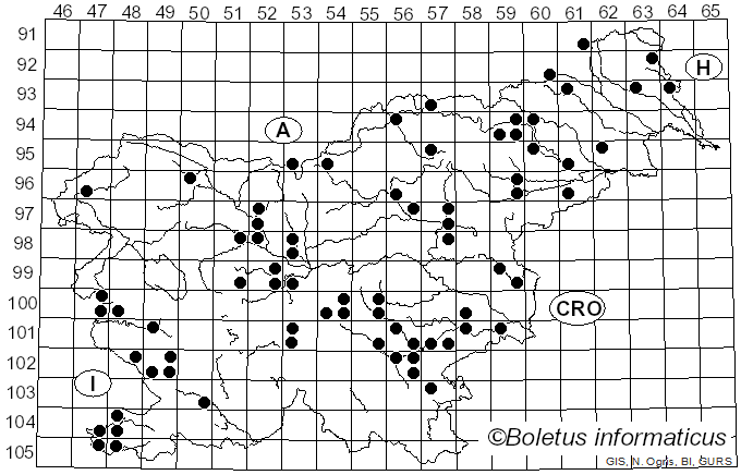 <i>Volvopluteus gloiocephalus</i> (DC.) Vizzini, Contu & Justo (2011)