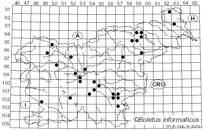 <i>Russula aquosa</i> Leclair (1932)