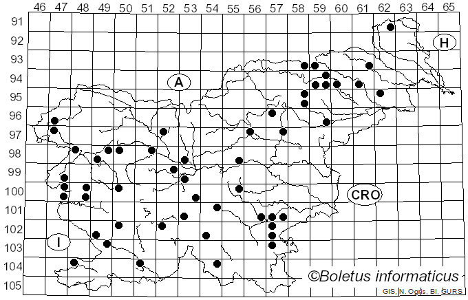 <i>Cortinarius variecolor</i> (Pers.) Fr. (1838)