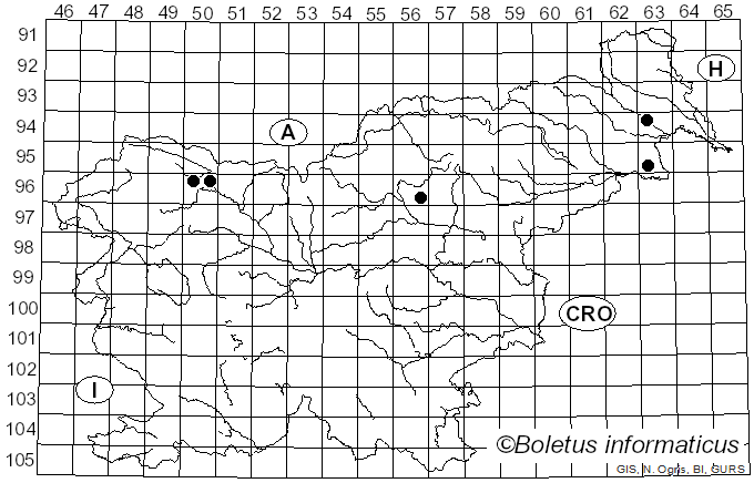 <i>Mycoacia nothofagi</i> (G. Cunn.) Ryvarden (1981)