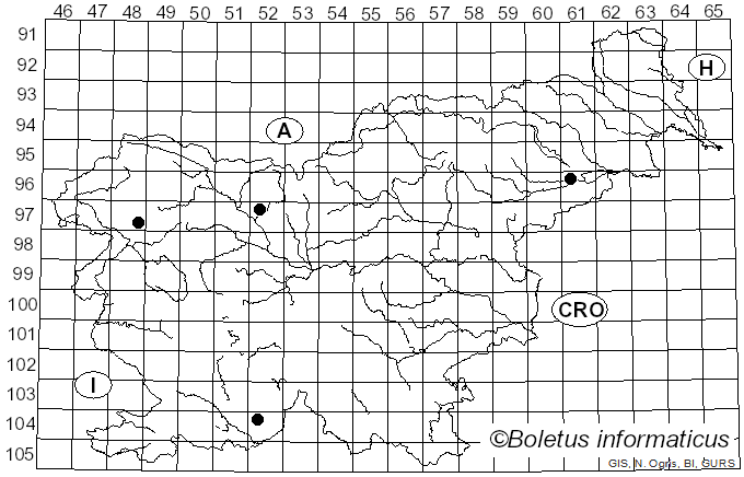 <i>Physconia grisea</i> (Lam.) Poelt (1965)