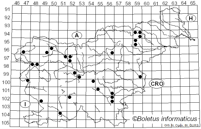 <i>Phlegmacium vulpinum</i> (Velen.) Niskanen & Liimat. (2022)