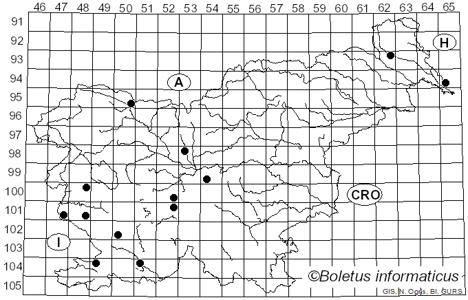 <i>Cyclaneusma niveum</i> (Pers.) DiCosmo, Peredo & Minter (1983)