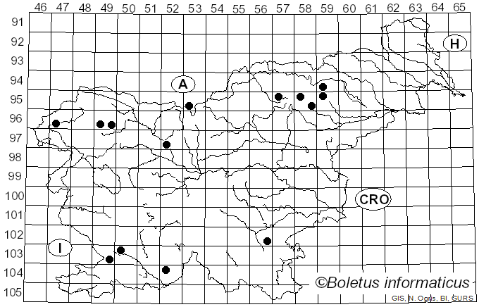 <i>Leucocybe</i> Vizzini, P. Alvarado, G. Moreno & Consiglio (2015)
