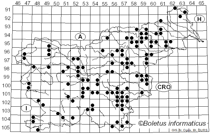 <i>Phlegmacium glaucopus</i> (Schaeff.) Wünsche (1877)