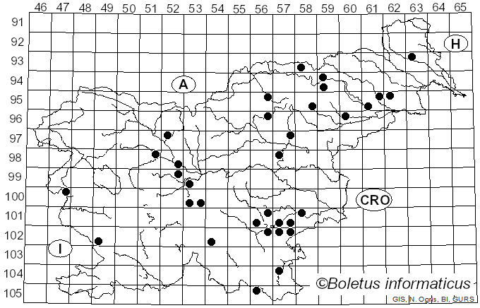 <i>Lanmaoa fragrans</i> (Vittad.) Vizzini, Gelardi & Simonini (2015)