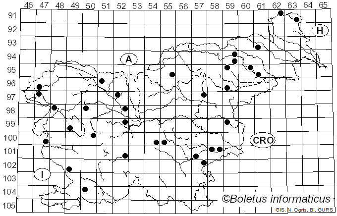 <i>Jackrogersella multiformis</i> (Fr.) L. Wendt, Kuhnert & M. Stadler (2017)