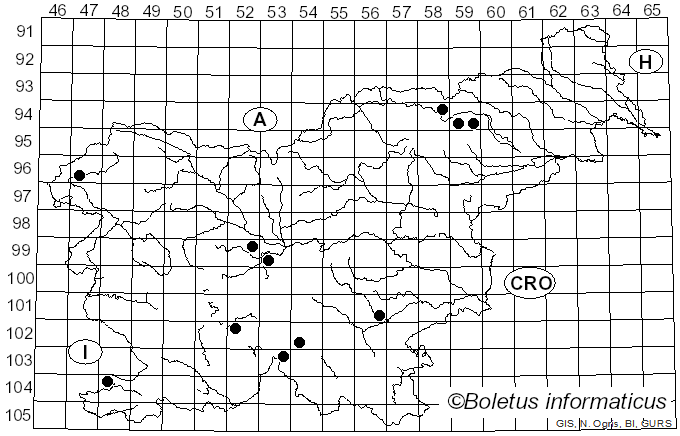 <i>Calonarius prasinus</i> (Schaeff.) Niskanen & Liimat. (2022)