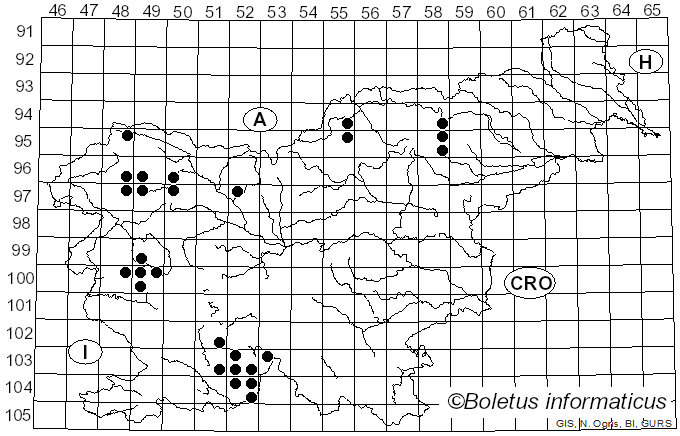 <i>Ochrolechia androgyna</i> (Hoffm.) Arnold (1885)