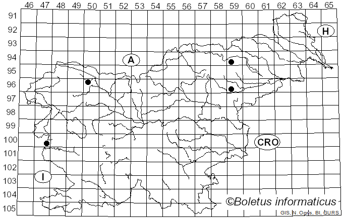 <i>Conocybe aurea</i> (Jul. Schäff.) Hongo (1963)